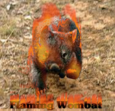 wombat